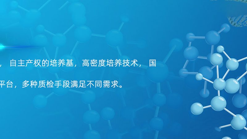 CDMO工艺流程报价：揭秘制药外包的透明之路