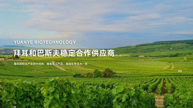 CDMO厂家排名背后的考量因素与选择策略