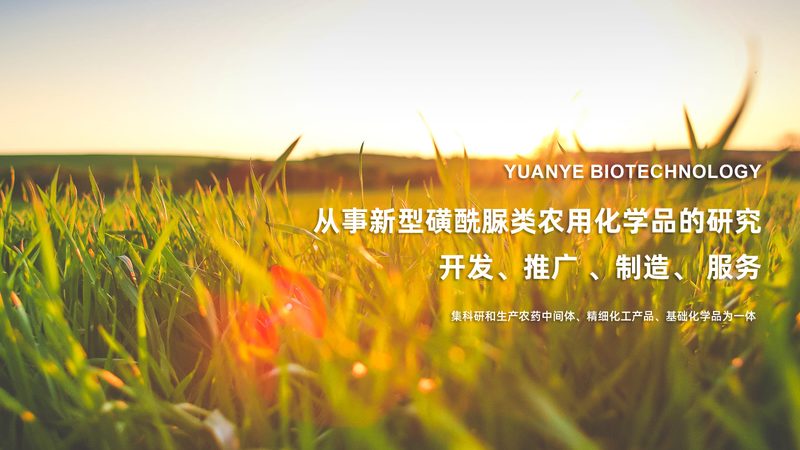 广州实验室耗材批发市场：揭秘背后的供应链与选择之道**