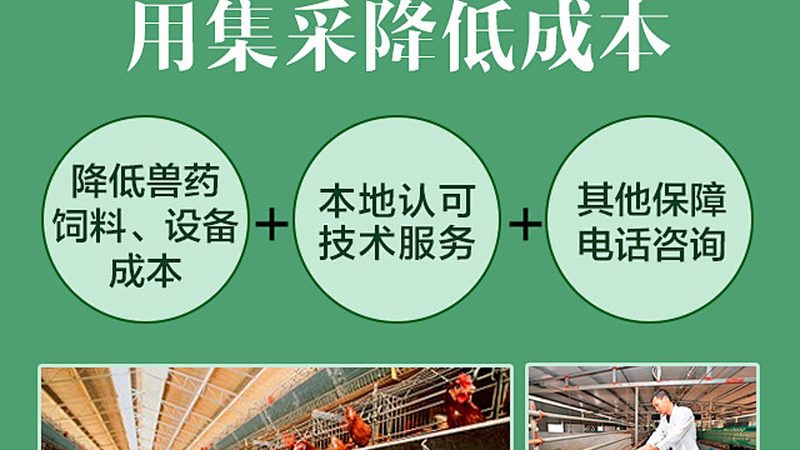 CDMO服务流程外包：揭秘制药企业的秘密武器