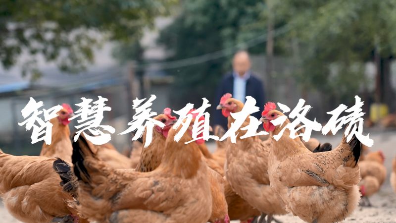 细胞工厂定制，如何选择合适的厂家？**